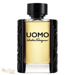 Nước Hoa Nam Salvatore Ferragamo Uomo EDT - Duy Thanh Perfume